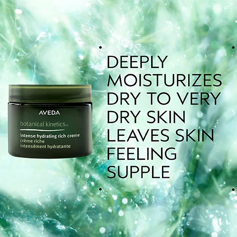 Image 2 - A dark green Aveda botanical kinetics creme jar sits against a blurred green and blue background with light reflections, with the text DEEPLY MOISTURIZES DRY TO VERY DRY SKIN LEAVES SKIN FEELING SUPPLE. Image 3 - A dark green image features a bubbly, light green, circular texture with white specks, accompanied by the text: Formulated Without Animal Derived Ingredients, Silicones, Gluten, Mineral Oil, SLS/SLES, Synthetic Fragrance, Parabens, Phthalates, Petrolatum, Paraffin, & Formaldehyde Donors. Image 4 - A textured swatch of creamy white skincare product with soft shadows on a white background. Image 5 - The image displays three green Aveda Botanical Kinetics skincare products—a purifying gel cleanser, a toning mist, and an intense hydrating rich creme—against a sparkling green botanical background, with the visible text How to Use and a three-step routine: 01 Cleanse Botanical Kinetics Purifying Gel Cleanser, 02 Treat Botanical Kinetics Toning Mist, and 03 Moisturize Botanical Kinetics Hydrating Rich Crème. Image 6 - Three white logos appear on a dark green leafy background with a red plant stem: a V in a circle with 100% VEGAN, a B in a circle with Certified B Corporation, and a leaping rabbit with stars and Cruelty Free INTERNATIONAL.