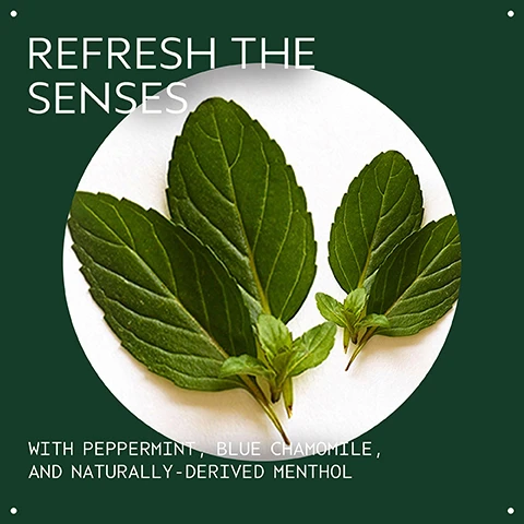 Image 2 - A dark green background features fresh green mint leaves in a white circle, with the text REFRESH THE SENSES WITH PEPPERMINT, BLUE CHAMOMILE, AND NATURALLY-DERIVED MENTHOL. Image 3 - Three clear, translucent drops of liquid are arranged on a white background. Image 4 - A clear bottle with a white cap containing light blue liquid from Aveda, set against a vibrant green and teal blurred background, displays the text AVEDA THE ART AND SCIENCE OF PURE FLOWER AND PLANT ESSENCES cooling balancing oil concentrate concentré dhuile équilibrant COOLS AND REFRESHES THE SENSES. Image 5 - An Aveda Cooling Balancing Oil Concentrate bottle, labeled AVEDA THE ART AND SCIENCE OF PURE FLOWER AND PLANT ESSENCES cooling balancing oil concentrate concentré dhuile équilibrant, stands on a dark green background next to instructions titled HOW TO USE that state 01 Massage into tense areas for cooling refreshment and 02 Perfect post-workout or any time. Image 6 - A background of dark green tropical leaves with three white certification logos: a circular logo with a V and 100% VEGAN text, a B Corporation logo with text Certified B Corporation, and a Leaping Bunny logo with text Cruelty Free INTERNATIONAL.