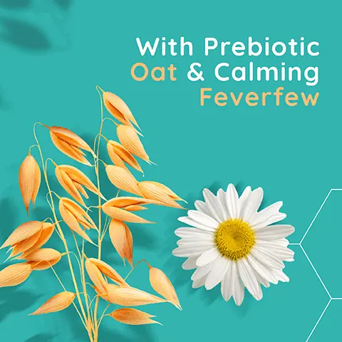 Image 1 - A cluster of orange oat-like plant leaves surrounds a white daisy flower on a turquoise background, with the text With Prebiotic Oat & Calming Feverfew.
Image 2 - A bottle of Aveeno Calm+Restore Nourishing Oat Cleanser, with a pump top, on an orange background, displaying text that states Dermatologist tested, For sensitive skin, and Fragrance free.
Image 3 - A close-up image of a person with long, wavy red hair and freckles, showing their face with a natural, dewy complexion, along with visible text that reads Gently cleanses & hydrates to preserve the skins moisture barrier.
Image 4 - A smiling woman with medium skin tone applying a cream to her face, beside a bottle of Aveeno Calm + Restore Nourishing Oat Cleanser, with text that reads CLINICALLY PROVEN TO NOURISH SKIN FOR THE CLEANSER.
Image 5 - Aqua-colored background with a white graphic of a water droplet and a checkmark, featuring the text Dermatologist Tested and the brand name Aveeno in the top right corner.
Image 6 - A teal background features a white droplet icon with sparkling accents, accompanied by the text that reads GENTLY CLEANSes & HYDRATES, and the Aveeno logo is positioned at the top right corner.
Image 7 - A bottle of Aveeno Calm + Restore Nourishing Oat Cleanser for sensitive skin is displayed with a light blue background and hexagonal shapes, featuring the text FOR SENSITIVE SKIN and FRAGRANCE FREE.