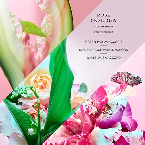 Image 3 - A diagonal collage displays green papaya, cream roses, lily of the valley, and pink and white marbled rose petals on a pink background, with text Rose Goldea Blossom Delight Eau de Parfum Green Papaya Accord Infused Rose Petals Accord White Musk Accord.