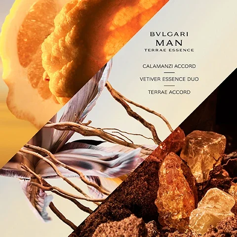 BVLARI man terrae essence = calamanzi accord, vetiver essence duo, terrae accord.