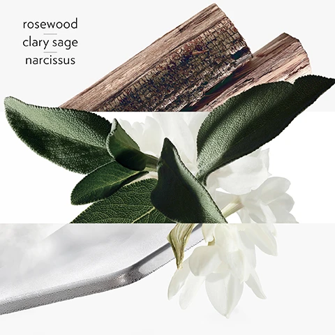Image 1 - A close-up image featuring a piece of wood, green leaves, and white flowers layered over a silver object, with the text rosewood, clary sage, and narcissus displayed on the left side.
Image 2 - A close-up image of various green clary sage leaves with the text clary sage displayed at the bottom.
Image 3 - A cluster of white narcissus flowers with delicate petals and green stems, with the word narcissus displayed in the upper right corner.
Image 4 - A collection of wooden logs with varied textures and colors arranged creatively, accompanied by the word rosewood at the top.
Image 5 - A close-up image of a sleek, modern surface with a metallic finish, featuring a gradient of light gray and reflective qualities, accompanied by the text sclarene at the top.