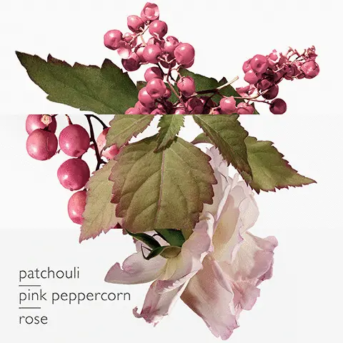 Image 1-4 - included scents. Image 5 - The range