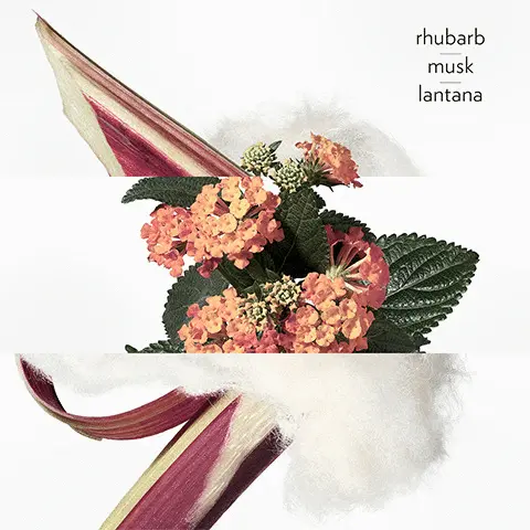 Image 1 - Rhubarb, Musk, Lantana Image 2 - Rhubarb Image 3 - Lantana Image 4 - Musk Image 5 - Showing the range Text - EAU DE CITRON NOIR black lemon black tea guaia EAU DE RHUBARBE ÉCARLATE rhubarb lantana musk EAU D'ORANGE VERTE orange mint moss