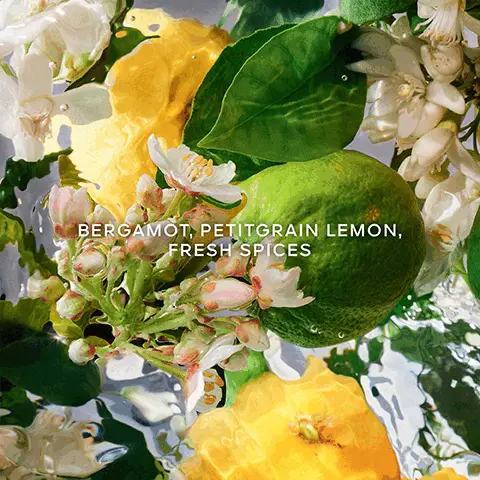 Image 1, BERGAMOT, PETITGRAIN LEMON, FRESH SPICES Image 2, UP TO 95% NATURAL 100ulation including ORIGIN INFINITELY ORGANIC BEETROOT REFILLABLE ALCOHOL AQUA ALLEGORIA COLLECTION