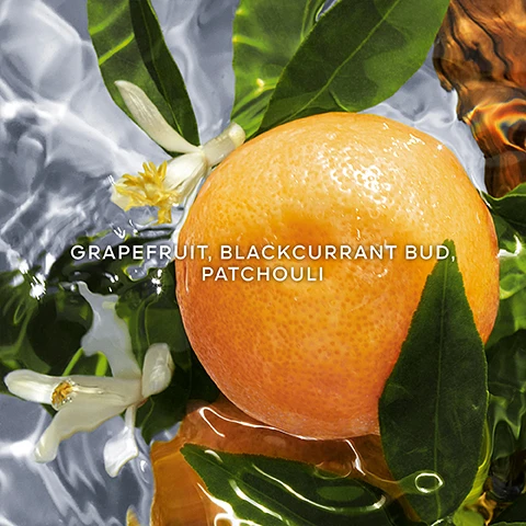 Image 1, grapefruit, blackcurrant bud, patchouli. image 2, up to 95% natural origin. infinitely refillable. organic beetroot alcohol. aqua allegoria collection. 90% to 95% ingredients of natural origin in accordance with the ISO 16128 calculation including water.