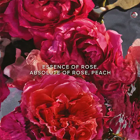 Image 1- Essence of rose. Absolute of rose, Peach. Image 2- A beaming and tangy fruity floral, a woody fruity floral. Image 3- Up to 95% natural origin, Infinity refillable and organic beetroot alcohol