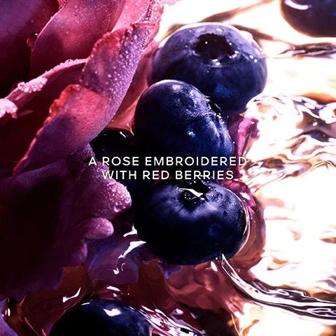 a rose embroidered with red berries.