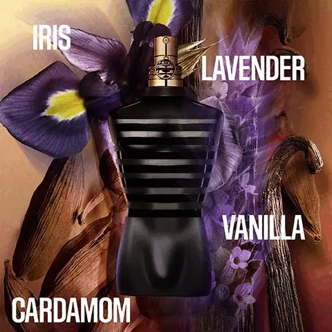 Image 1, iris, lavender, cardamom and vanilla. Image 2, le male eau de toilette = amber aromatic. le male le perfum eau de parfum intense = woody amber. ultra male eau de toilette intense = aromoatic amber.