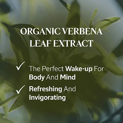 Image 1, ORGANIC VERBENA LEAF EXTRACT The Perfect Wake-up For Body And Mind ✓ Refreshing And Invigorating Image 2, Made with hand-picked Verbena that is 100% Organic & Sustainable Image 3, "Our relationship with L'OCCITANE is more than a business venture, it's a human adventure and one that is incredibly important to us.." Philippe & Magalie, Verbena Producers UPPORTING PRODUCERS Image 4, 0 An Uplifting, Fresh Shower Gel That Gently Lathers On Contact With Water