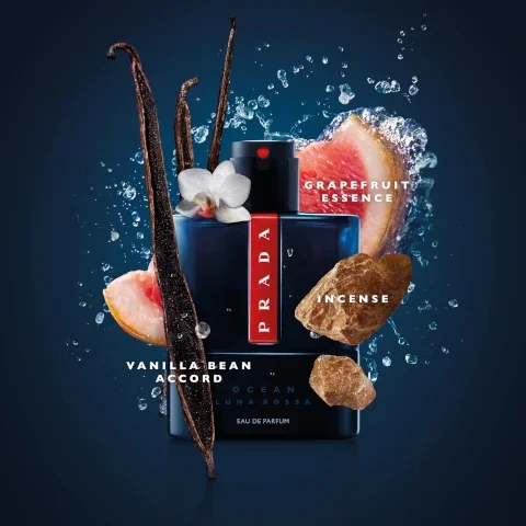 grapefruit essence, incense and vanilla bean accord