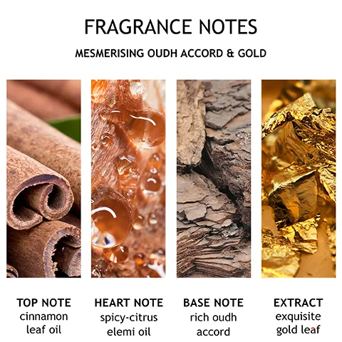 The image displays four vertical panels illustrating fragrance ingredients and their notes: cinnamon sticks represent Top Note cinnamon leaf oil, amber resin drops represent Heart Note spicy-citrus elemi oil, tree bark represents Base Note rich oudh accord, and crumpled gold leaf represents Extract exquisite gold leaf, all presented under the heading Fragrance Notes Mesmerising Oudh Accord & Gold.