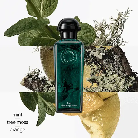 Image 1, mint tree moss orange COLOGN HERMES Eau d'orange verte Image 2, orange Image 3, mint Image 4, tree moss