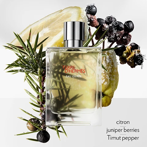 Image 1 - A perfume bottle is centered among frosted citron fruit slices, green juniper branches with dark berries, and dark red berries, with visible text reading Terre DHermes Eau Givree, citron, juniper berries, Timut pepper. Image 2 - The image shows five clear, rectangular Hermès perfume bottles, each with a dark cap and yellowish liquid, displayed on white pedestals against a light background; the first bottle is labeled TERRE DHERMÈS and is described as TERRE DHERMÈS EAU DE TOILETTE with notes of grapefruit, cedar, flint; the second bottle is labeled TERRE DHERMÈS EAU GIVRÉE and is described as TERRE DHERMÈS EAU GIVRÉE with notes of cedrat, juniper berry, Timut pepper; the third bottle is labeled TERRE DHERMÈS EAU DE PARFUM INTENSE and is described as TERRE DHERMÈS EAU DE PARFUM INTENSE with notes of lively bergamot, warm wood, intense lava stone; the fourth bottle is labeled TERRE DHERMÈS EAU INTENSE VÉTIVER and is described as TERRE DHERMÈS EAU INTENSE VÉTIVER with notes of green bergamot, Sichuan pepper, vetiver; and the fifth bottle is labeled TERRE DHERMÈS and is described as TERRE DHERMÈS PARFUM with notes of grapefruit, cedar, shiso.