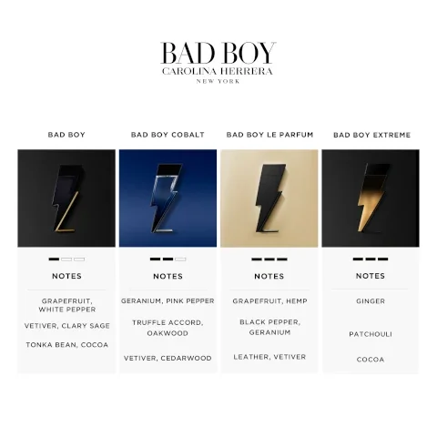 BAD BOY CAROLINA HERRERA NEW YORK BAD BOY BAD BOY COBALT BAD BOY LE PARFUM BAD BOY EXTREME NOTES NOTES NOTES NOTES GRAPEFRUIT, WHITE PEPPER VETIVER, CLARY SAGE TONKA BEAN, COCOA GERANIUM, PINK PEPPER TRUFFLE ACCORD, OAKWOOD GRAPEFRUIT, HEMP GINGER BLACK PEPPER, GERANIUM PATCHOULI VETIVER, CEDARWOOD LEATHER, VETIVER COCOA