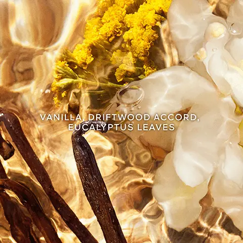 Image 1, Vanilla driftwood accord eucalyptus leaves. Image 2, up to 95% natural origin, infinity refillable and organic beetroot alcohol