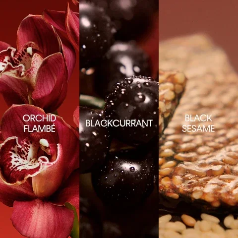 orchid flambe, blackcurrent, black sesame.