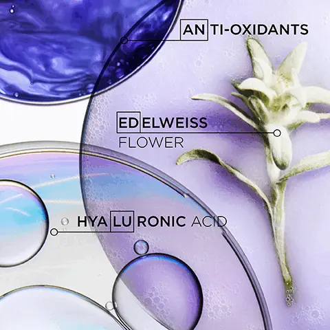 Image 1,antioxidants, edelweiss flower and hyaluronic acid Image 2,INSTRUMENTAL TEST WHEN USING BAN LUME.CAFLASH STRUMENTAL TEST WHEN USING AN ULTRAVIOLET AND OCAPLASH BLOND ABSOLU +92% MORE HYDRATED HAIR +94% STRONGER HAIR 8X VISIBLY SHINIER HAIR INSTANT ANTI-BRASS ACTION Image 3,hydrating illuminating shampoo lightened or highlighted hair Image 4, nourishing conditioner lightened or highlighted hair