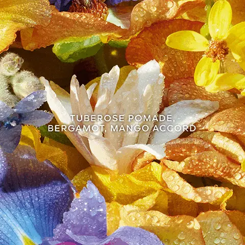 Tuberose Pomade, Bergamot, Mango Accord. The radiance and glow of a multicoloured floral bouquet. The intense warmth of a vibrant bouquet. More than 90% natural origin. Infinitely refillable. Organic Beetroot Alcohol. Aqua Allegoria Floralbloom. Inspried by a miracle of nature the superbloom phenomenon.
