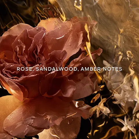 Rose, sandalwood, amber notes. Up to 90% natural origin. Organic beetroot alcohol. Absolus allegoria collection. 86% to 95% of ingredients are of natural origin, in accordance with ISO 16128, calculation includes water. An enchantingly mysterious journey to the heart of the wonders of the world at nightfall. Yann Arthus Bertrand. An enchanting sandalwood tinged with mystery. A powerfully soft and distinguished rose. A smooth chiaroscuro leather.