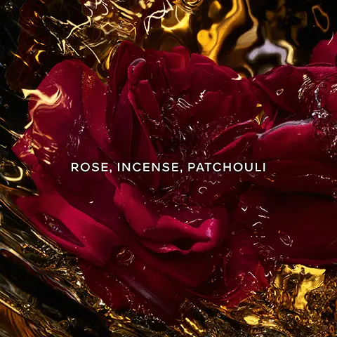 Rose, incense, patchouli. Up to 90% natural origin. Organic beetroot alcohol. Absolus Allegoria collection. 86% to 95% of ingredients are of natural origin, in accordance with ISO 16128 calculation includes water. An enchantingly mysterious journey to the heart of the wonders of the world at nightfall. Yann Arthus Bertrand. An enchanting sandalwood tinged with mystery. A powerfully soft and distinguished rose. A smooth chiaroscuro leather.