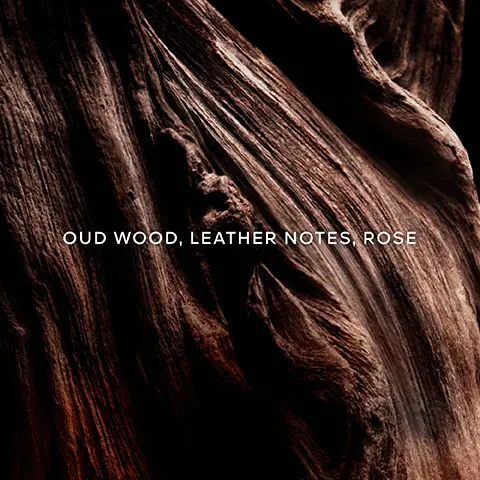 Oud wood, leather notes, rose. Up to 90% natural origin. Organic beetroot alcohol. Absolus allegoria collection. 86% to 95% of ingredients are of natural origin, in accordance with ISO 16128, calculation includes water. An enchantingly mysterious journey to the heart of the wonders of the world at nightfall. Yann Arthus Bertrand.