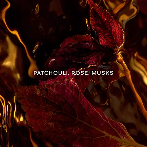 Patchouli, rose, musks. Up to 90% natural origin. Organic beetroot alcohol. Absolus allegoria collection. 86% to 95% of ingredients are of natural origin, in accordance with ISO 16128, calculation includes water. An enchantingly mysterious journey to the heart of the wonders of the world at nightfall. Yann Arthus Bertrand.