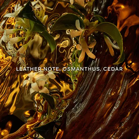 Leather note, osmanthus, cedar. Up to 90% natural origin. Organic beetroot alcohol. Absolus allegoria collection. 86% to 95% of ingredients are of natural origin, in accordance with ISO 16128, calculation includes water. An enchantingly mysterious journey to the heart of the wonders of the world at nightfall. Yann Arthus Bertrand. An enchanting sandalwood tinged with mystery. A powerfully soft and distinguished rose. A smooth chiaroscuro leather.
