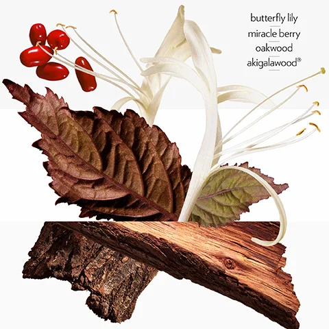 butterfly lily miracle berry oakwood akigalawood®