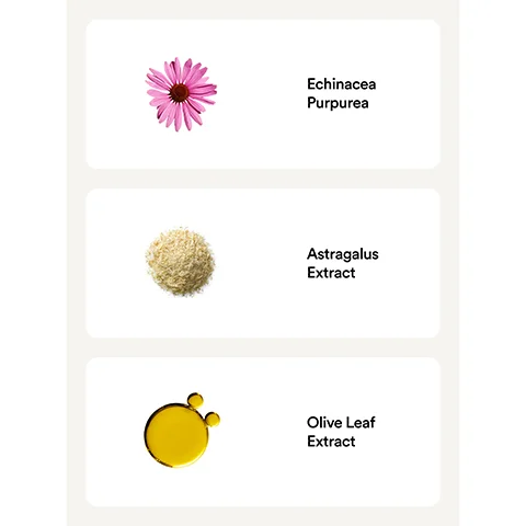 Image 1 - Image shows a pink Echinacea flower at the top, followed by a mound of Astragalus extract, and a droplet of Olive Leaf extract, with labels for each: Echinacea Purpurea, Astragalus Extract, Olive Leaf Extract.