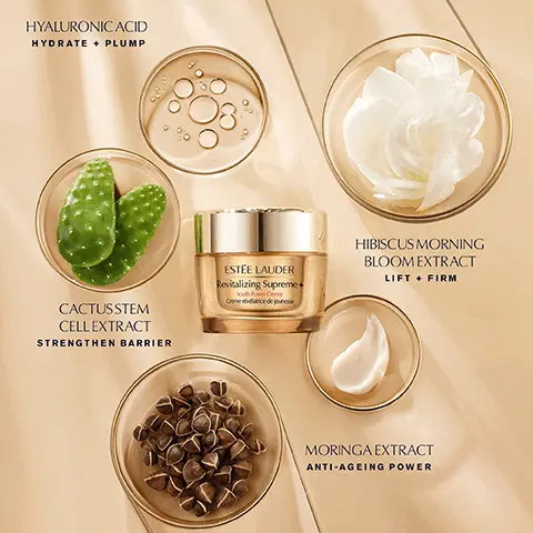 Image 1 - HYALURONIC ACID HYDRATE + PLUMP CACTUSSTEM CELL EXTRACT STRENGTHEN BARRIER OP ESTEE LAUDER Revitalizing Supreme Youth Perme Omece de jeunesse HIBISCUS MORNING BLOOM EXTRACT LIFT + FIRM MORINGA EXTRACT ANTI-AGEING POWER Image 2, Exclusive Tripeptide-32 ESTEE LAUDER Vitamin E ESTEE LAUDER Advanced Night Repair Synchronized Mus-Recovery Complex Complexe multi-réparation synchronisée Hyaluronic acid