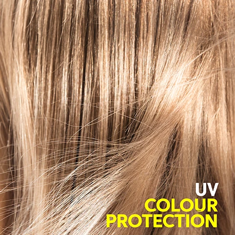 Image 2 - Close-up of shiny blonde hair with strands showcasing a smooth texture, with the text UV COLOUR PROTECTION displayed in yellow at the bottom right.
Image 3 - A white bottle of Wella Professionals Invigo Sun Care shampoo with a yellow label, set against a yellow background, features icons and text indicating After Sun Care, Moisturizing, and Shine, with additional text stating with Pro-vitamin B5, after sun cleansing, and All hair types along with the volume of 300 ml.
Image 4 - A tube of Wella Professionals Sun Care Conditioner on a yellow background, with icons and text highlighting benefits: after sun repair, nourishment, shine, and soft hair, along with visible product details and volume of 200 ml.
Image 5 - A hand holds a yellow spray bottle labeled WELLA INVIGO SUN CARE UV PROTECTING SPRAY with icons and text indicating UV color protection, moisturizing, soft hair, and shine on a bright yellow background.
Image 8 - Seven oval, translucent yellow capsules arranged on a white background, with the text Pro-Vitamin B5 and helps to moisturize hair after sun exposure.