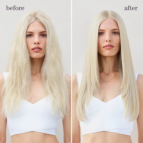 Image 1 - Side-by-side image showing a woman with wavy, frizzy blonde hair on the left labeled before, and the same woman with smooth, straight blonde hair on the right labeled after.
Image 2 - A woman with voluminous curly hair is shown in a side-by-side comparison, with the left image labeled before and the right labeled after, showcasing a transformation in her hairstyle.
Image 3 - Bottle of Pureology Strength Cure Dream Healer Serum against a soft gradient background, with text stating restores up to 99% of original hair strength, up to 76% reduction in split ends, and up to 85% reduction of breakage.
Image 4 - Image features a visual composition of three sections showing a blend of ingredients: on the left, a fluid with bubbles labeled lactic acid; in the top right, a fluid with bubbles labeled amino acid and the text mitigates future breakage; and at the bottom right, a powdery substance labeled citric acid, with the overarching text triple-action blend for multi-level repair.
Image 5 - A person holds a bottle of Pureology Strength Cure Smoothing Serum in one hand while showcasing a small amount of the product in the other hand, with a soft-focus background of white and neutral-colored objects; the visible text reads can be used on dry or towel dried hair Warm 1 to 2 pumps in the palm & spread evenly from mid-lengths to ends. Do not rinse. Style as usual.
Image 6 - Image of three hair care products from Pureology in a light blue background, labeled as strengthening routine, with the words shampoo, condition, and treat indicating their respective functions. The product bottles include STRENGTH CURE on the conditioner and STRENGTH CURE SCALP RELIEF SERUM on the treatment.
Image 7 - An image divided into three sections features a green bergamot fruit on the left, amber resin on the bottom right, and a white jasmine flower on the top right, with the words fragrance, bergamot, jasmine, and amber clearly labeled.
Image 8 - A light blue background displays information about a hair care product titled is it for me? STRENGTH CURE, listing that it is best for damaged, color-treated hair, suitable for all hair types and textures, offers benefits of restoring up to 99% of original hair strength, and instructs to use the flower bud on the cap to determine the right amount of product.
Image 9 - Image shows three icons with text descriptions: the first icon represents vegan formulas with the text 100% vegan formulas*, the second icon represents sulfate-free formulas with the text 100% sulfate-free formulas, and the third icon represents the number of washes with the text Up to 80+ washes; washes in one bottle, all formulas are highly concentrated meaning less water needed, with a note at the bottom stating Every formula is made without animal products or by-products. PuraDesog never tests on animals.