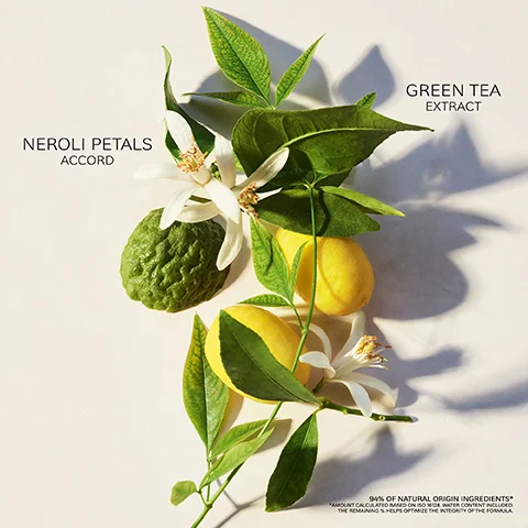 Image 1 - A top-down view of various green and yellow citrus fruits, surrounded by leaves and white flowers, with the text NEROLI PETALS ACCORD and GREEN TEA EXTRACT displayed on either side.
