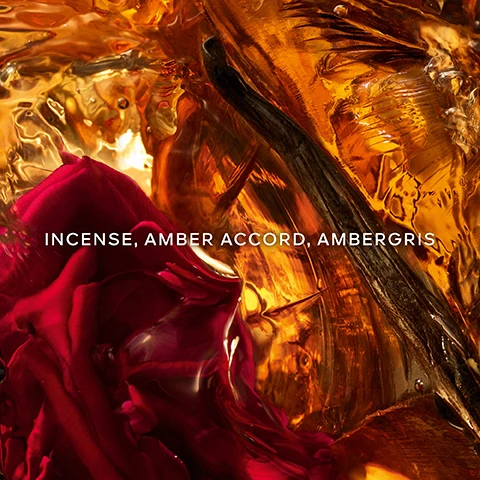 Image 1 - A close-up of a textured, amber-colored fluid with a deep red rose partially visible in the foreground, along with the text INCENSE, AMBER ACCORD, AMBERGRIS.
Image 2 - A split image featuring a natural scene with flowers on the left, highlighting the text More Than 90% Natural Origin, and a deep red flower on the right displaying the text Organic Beetroot Alcohol, with the Absolus Allegoria collection logo at the bottom.
Image 3 - A silhouetted boat with a curved sail glides across a shimmering water surface reflecting sunlight, accompanied by the text AN ENCHANTINGLY MYSTERIOUS JOURNEY TO THE HEART OF THE WONDERS OF THE WORLD AT NIGHTFALL and the name © YANN ARTHUS-BERTRAND.
