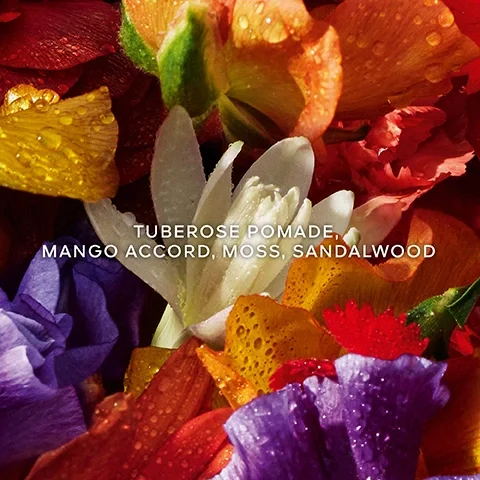 Image 5 - A close-up image of various colorful flower petals, including white, yellow, orange, red, and purple, covered in water droplets, with the text TUBEROSE POMADE, MANGO ACCORD, MOSS, SANDALWOOD.