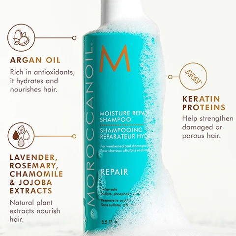 Image 3 - A turquoise Moroccanoil Moisture Repair Shampoo bottle, partially covered in white foam, is presented with ingredient callouts; the visible text includes Moroccanoil M, Moisture Repair Shampoo, Shampooing Réparateur Hydratant, For weakened and damaged hair, Pour cheveux affaiblis et abimés, Repair, Color-safe, Sulfate, phosphate, & paraben-free, Respecte la couleur, Sans sulfates, phosphates et parabènes, 8.5 FL.OZ. / 250 ML, Argan Oil Rich in antioxidants, it hydrates and nourishes hair, Keratin Proteins Help strengthen damaged or porous hair, and Lavender, Rosemary, Chamomile & Jojoba Extracts Natural plant extracts nourish hair. Image 4 - A white Moroccanoil Moisture Repair Conditioner bottle with creamy product spilling down its side, featuring text that reads: MOROCCANOIL M MOISTURE REPAIR CONDITIONER APRÈS-SHAMPOO RÉPARATEUR HYDR For weakened and damaged hair Pour cheveux affaiblis et abimés REPAIR Color-safe Sulfate, phosphate, paraben-free Respecte la couleur Sans sulfates, phosphates ni parabens 8.5 FL.OZ. / 250 ml, alongside additional information describing ARGAN OIL Rich in antioxidants, it hydrates and nourishes hair, LAVENDER, ROSEMARY, CHAMOMILE & JOJOBA EXTRACTS Natural plant extracts nourish hair, and KERATIN PROTEINS Help strengthen damaged or porous hair. Image 5 - The image shows golden oil droplets on a white background, with text that reads KEY INGREDIENTS, ARGAN OIL Rich in antioxidants, it hydrates and nourishes hair, and LINSEED EXTRACT Contains fatty acids to help improve the health of hair.