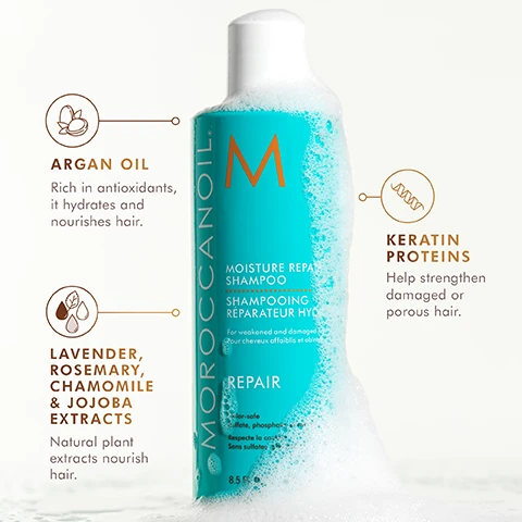 Image 1 - A turquoise MoroccanOil Moisture Repair Shampoo bottle, partially covered in white foam, displays the M logo, text MoroccanOil, Moisture Repair Shampoo, Shampooing Réparateur Hyd, For weakened and damaged hair, Pour cheveux affaiblis et abîmés, Repair, 8.5 fl.oz., For-safe, sulfate, phosphate, Respecte la couleur, Sans sulfates, and descriptions for Argan Oil Rich in antioxidants, it hydrates and nourishes hair, Lavender, Rosemary, Chamomile & Jojoba Extracts Natural plant extracts nourish hair, and Keratin Proteins Help strengthen damaged or porous hair. Image 2 - A white bottle of Moroccanoil Moisture Repair Conditioner with a creamy substance spilling from its top and flowing down its side; the bottle label reads Moroccanoil M, Moisture Repair Conditioner, Après-Shampoo Réparateur Hydratant, For weakened and damaged hair, Pour cheveux affaiblis et abîmés, Repair, Color-safe, Sulfate, phosphate, paraben-free, Respecte la couleur, Sans sulfates, phosphates ni parabènes, 8.5 FL.OZ. / 250 ml; additional descriptive text highlights Argan Oil, Rich in antioxidants, it hydrates and nourishes hair; Lavender, Rosemary, Chamomile & Jojoba Extracts, Natural plant extracts nourish hair; and Keratin Proteins, Help strengthen damaged or porous hair.