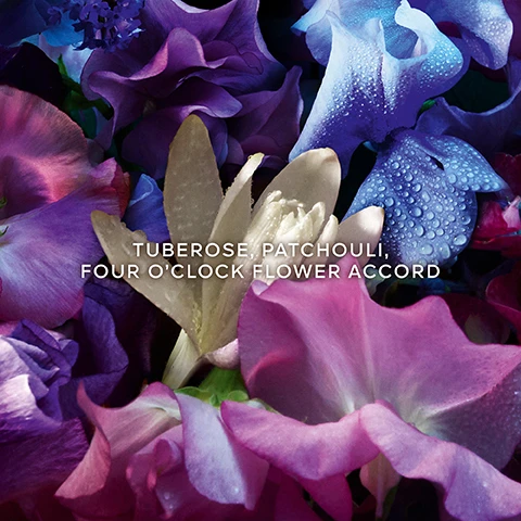Image 3 - A vibrant bouquet of purple, pink, white, and blue flowers, some with water droplets, displays the text TUBEROSE, PATCHOULI, FOUR OCLOCK FLOWER ACCORD. Image 4 - A vibrant, dense bouquet of various colorful flowers in shades of pink, purple, blue, yellow, and red, with some petals falling, displays the text A SPELLBINDING BOUQUET BY MOONLIGHT. Image 5 - Three perfume bottles with gold honeycomb caps, the left bottle labeled Aqua Allegoria Florabloom Guerlain Paris, the middle bottle labeled Absolus Allegoria Florabloom Guerlain Paris, and the right bottle labeled Aqua Allegoria Forte Florabloom Guerlain Paris, are arranged amidst a colorful backdrop of purple, pink, blue, and yellow flowers, with additional text reading THE RADIANCE AND GLOW OF A MULTICOLOURED FLORAL BOUQUET, THE SENSUALITY OF A NOCTURNAL BOUQUET, and THE INTENSE WARMTH OF A VIBRANT BOUQUET. Image 6 - Two vibrant floral arrangements are displayed side by side, with pink, red, and yellow blooms on the left featuring a bee-in-heart logo with text MORE THAN 90 % NATURAL ORIGIN, and purple and white flowers on the right featuring a bee-in-heart logo with text ORGANIC BEETROOT ALCOHOL, with the overall brand name AQUA ALLEGORIA FLORABLOOM at the bottom.