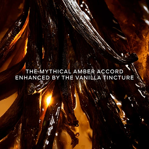 Image 2 - Dark, glossy vanilla pods with visible droplets are immersed in a warm, glowing amber liquid, featuring the text THE MYTHICAL AMBER ACCORD ENHANCED BY THE VANILLA TINCTURE. Image 4 - A vintage charcoal drawing of a fluted perfume bottle with a pedestal base, on a textured paper background with other faint sketches and a blue gem, with text Guerlain Paris on the bottles cap and THE 1ST AMBER FRAGRANCE & PEDESTAL BOTTLE IN HISTORY at the bottom. Image 5 - A woman with blonde hair and red lipstick, wearing a denim shirt, lies on a dark blue sofa, looking at the viewer while holding a large, amber Shalimar perfume bottle with Guerlain Paris on its cap, alongside the text 100 YEARS OF LOVE A LIVING LEGEND. Image 6 - An older woman with red hair smiles from behind a younger woman with red hair who looks directly at the viewer, both holding a large, amber-colored perfume bottle labeled Guerlain Paris and SHALIMAR; text on the image reads 100 YEARS OF LOVE OVER GENERATIONS. Image 7 - A triptych displays three amber-toned Guerlain Shalimar perfume bottles with blue caps and black ribbons, set against dark, warm liquid backgrounds featuring vanilla pods and citrus slices, with the following visible text: EAU DE TOILETTE, Guerlain Paris, SHALIMAR, Sensuality on the skin, Vanilla, Bergamot, Iris, INTENSITY level 3 of 4; EAU DE PARFUM, Guerlain Paris, SHALIMAR, A legendary trail, Vanilla, Bergamot, Iris, INTENSITY level 3 of 4; and LESSENCE EAU DE PARFUM INTENSE, Guerlain Paris, SHALIMAR, Iconic vanilla, intensified, Vanilla, Bergamot, Iris, INTENSITY level 4 of 4.