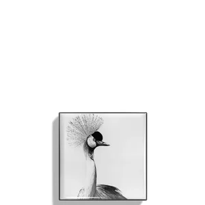 Chantecaille Luminescent Eye Shade 2.5g (Various Shades) - Shade Crane