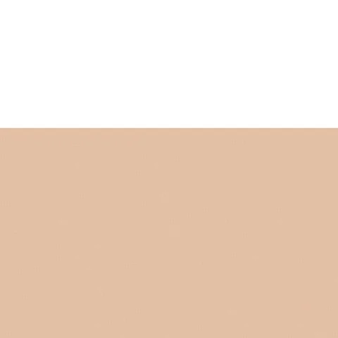 Shiseido Perfect Refining Foundation (30ml) Image 1