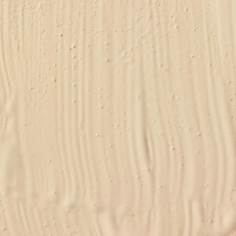 Japonesque Luminous Foundation (Various Shades) Image 1
