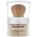 L'Oréal Paris True Match Minerals Foundation - Honey Glow