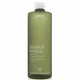 Aveda Botanical Kinetics Exfoliant 150ml