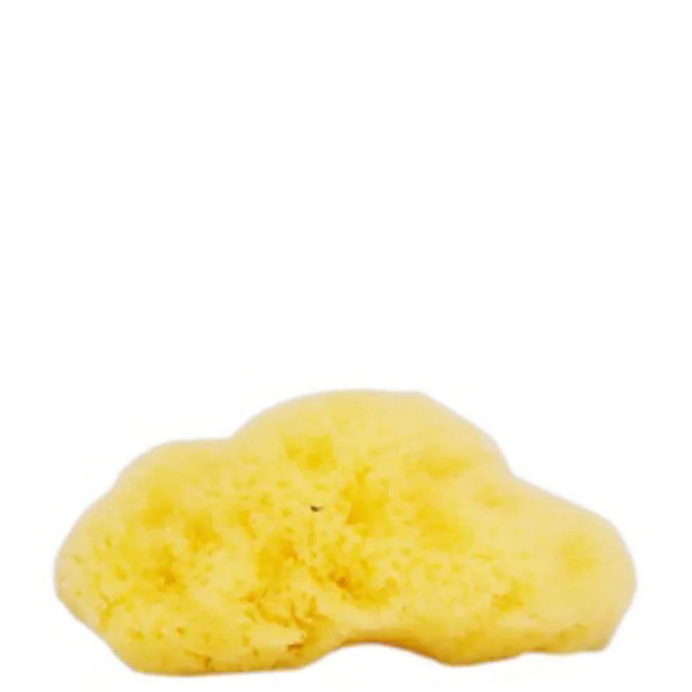The Natural Sea Sponge Company - Fina Silk Sea Sponge (Approx 3 Inches) Image 1