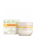 Burt's Bees Sensitive Night Cream 50g