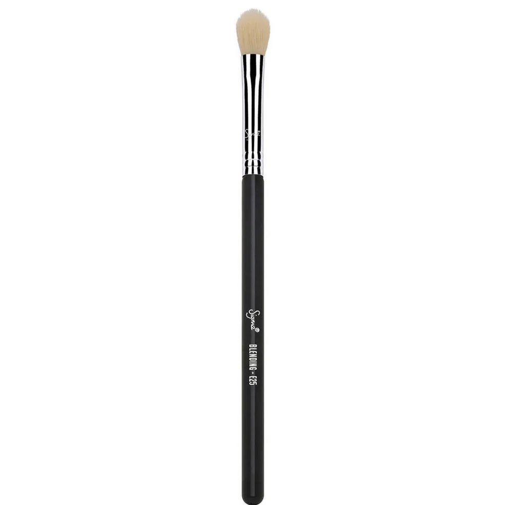 Sigma E25 Blending Brush Image 1