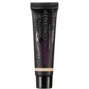 A Little Amazing Concealer - Dark Caramel (6ml)