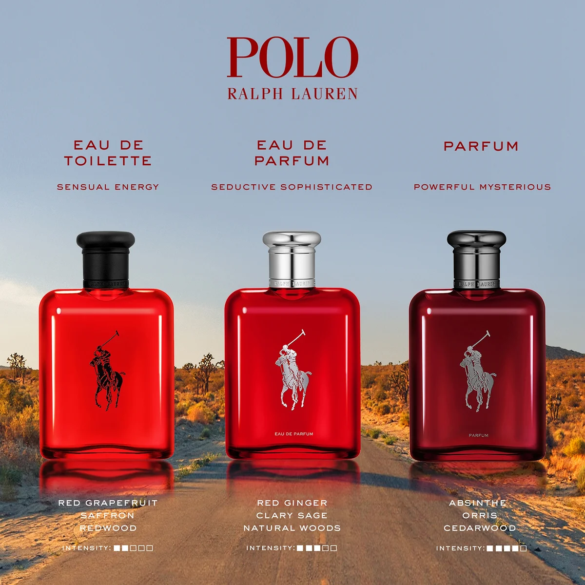 Display Polo Red Aroma Ralph Lauren Polo Red Eau De Toilette